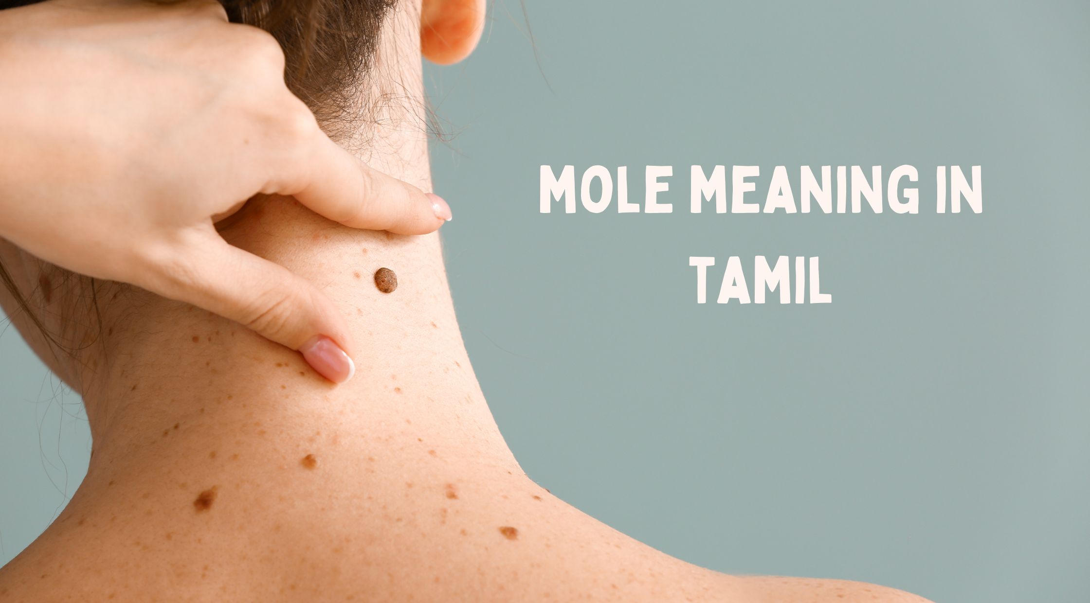 Mole Meaning in Tamil